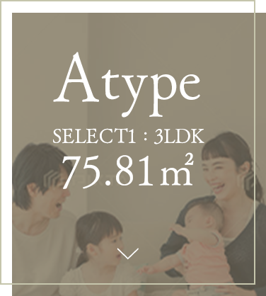 Atypeを見る