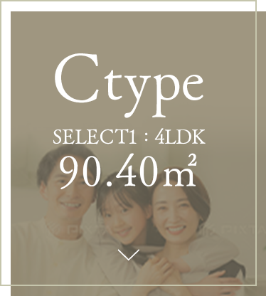 Ctypeを見る
