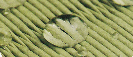 防汚加工イメージ（フリーディアシティ二日市）