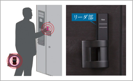 テブラセルイメージ