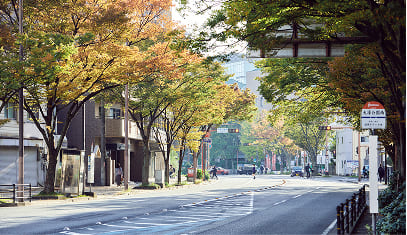 大通りイメージ